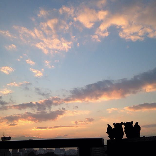 simple_blowbackさんの実例写真