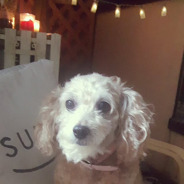 yukiさんの実例写真