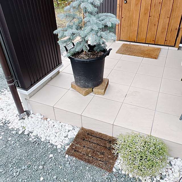 chanduさんの部屋
