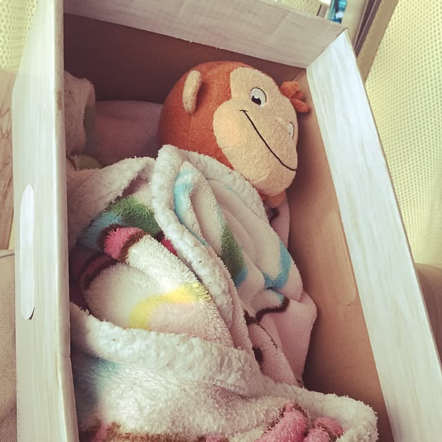 koto0321さんの実例写真