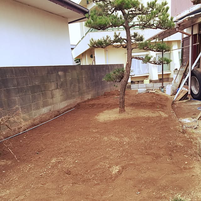 michikoさんの実例写真