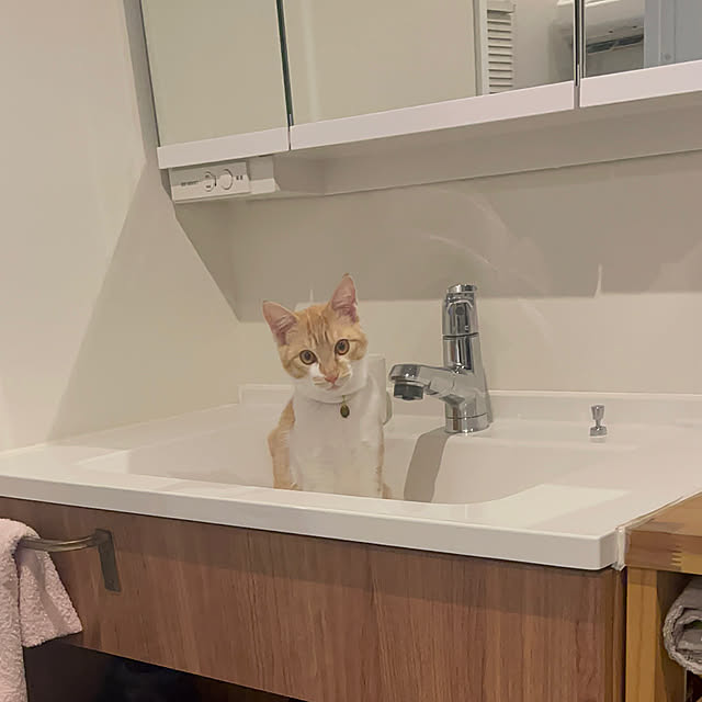miniさんの実例写真