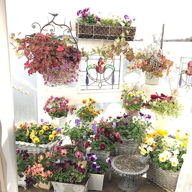kirara1027さんの実例写真