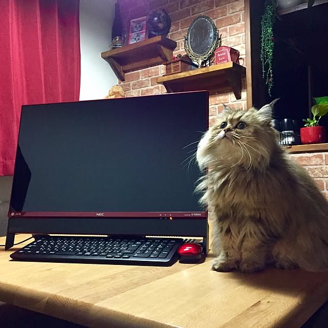 butachanさんの実例写真