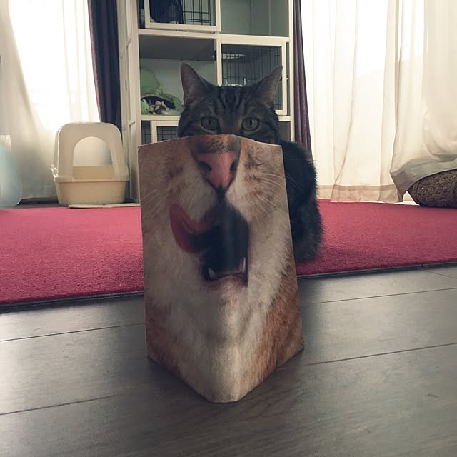 mikomaruさんの実例写真