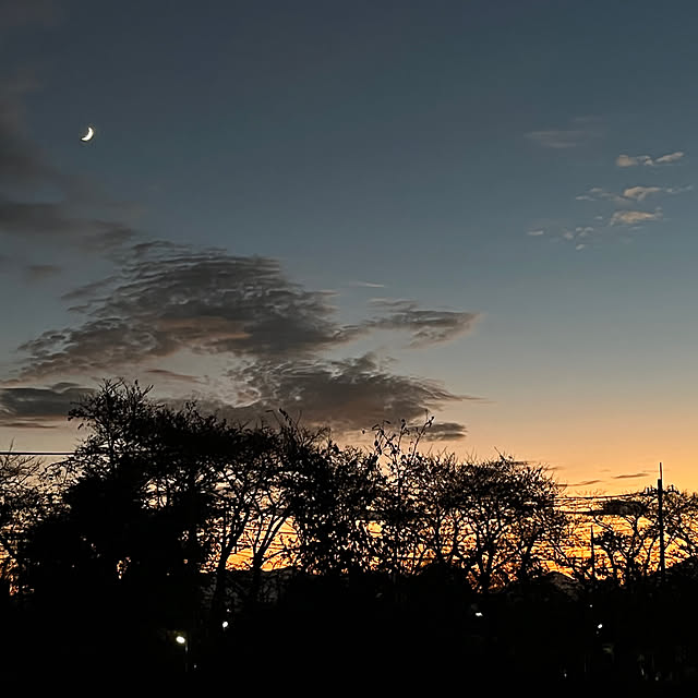 negichanさんの部屋