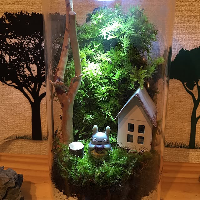 mosslightさんの実例写真