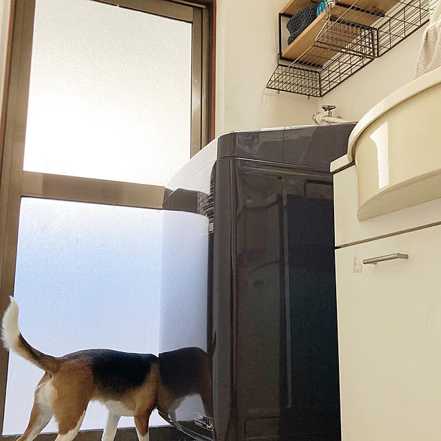 onokenkoさんの実例写真
