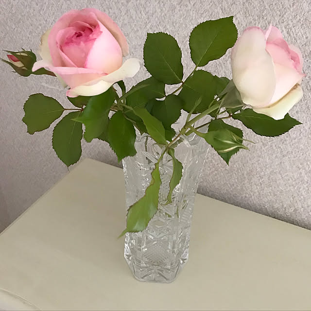 vivichanさんの実例写真