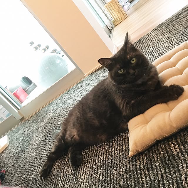 darakoさんの実例写真