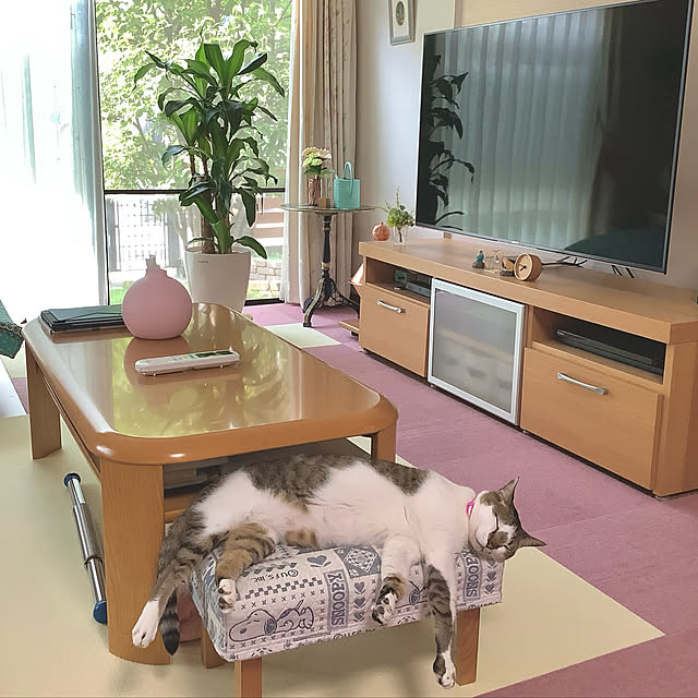haruminさんの実例写真