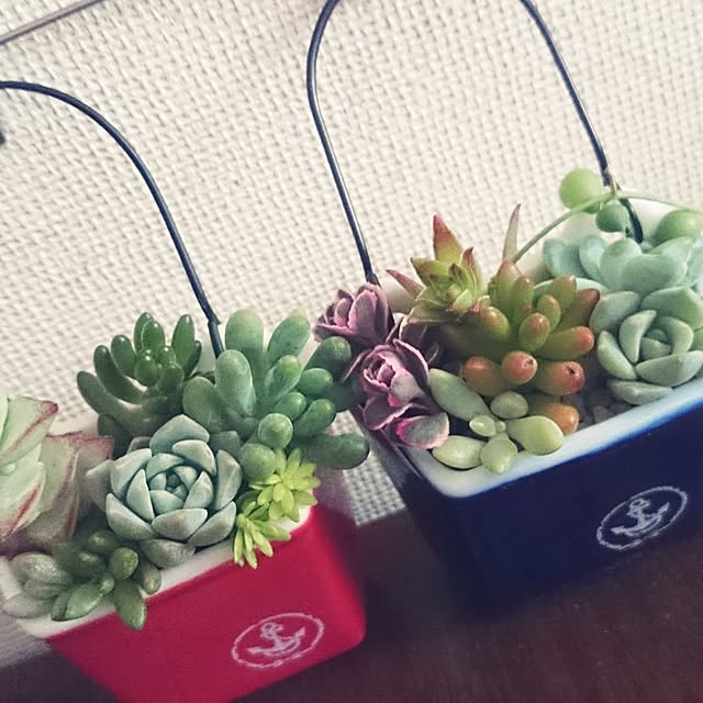 rookier05さんの実例写真