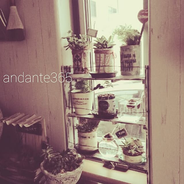 andante365さんの実例写真