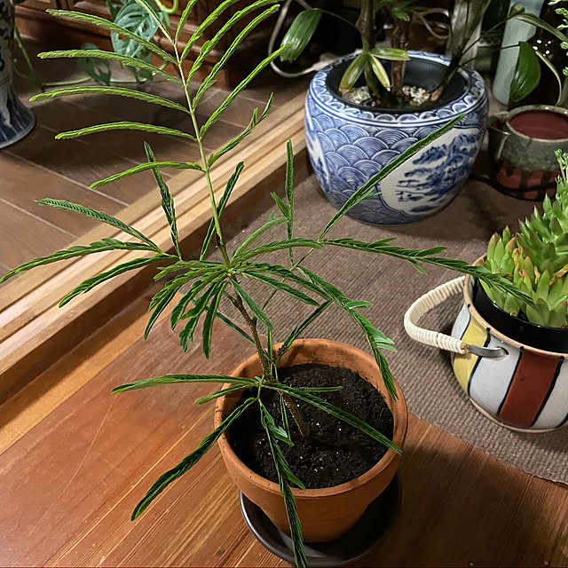 shin0719さんの実例写真