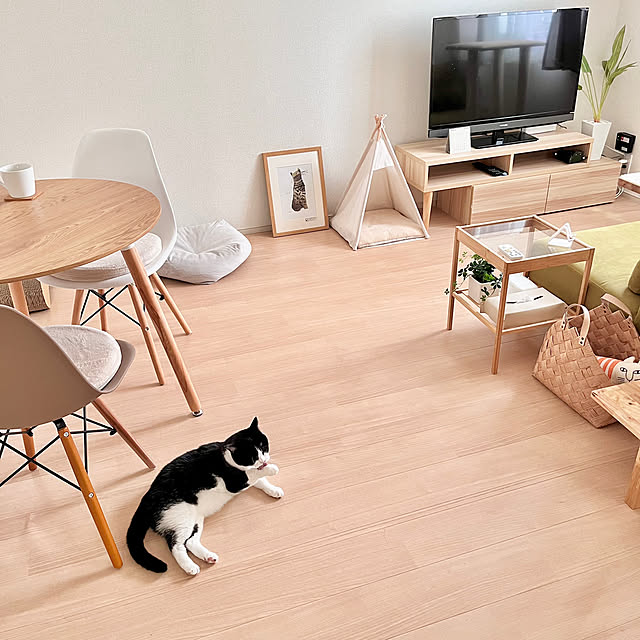kiyomiさんの部屋