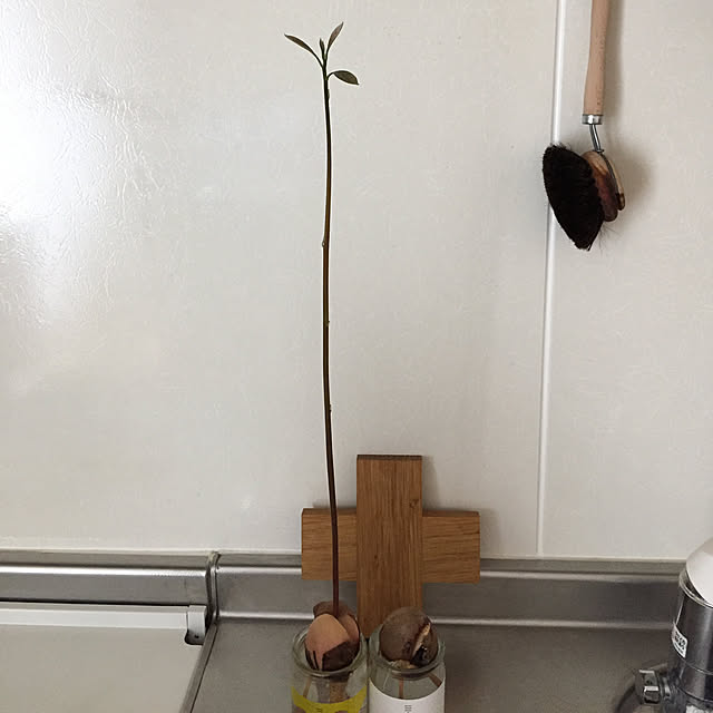 yukateca0403さんの実例写真