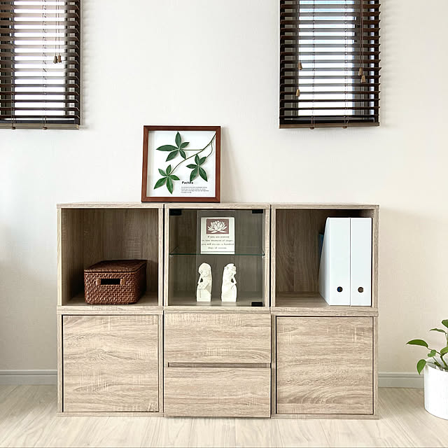 地球家具 キューブボックス ガラス扉 タイプ cubebox 地球家具 キューブボックス ガラス扉 タイプ cubebox