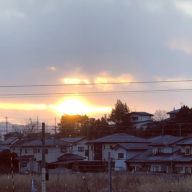 実例写真