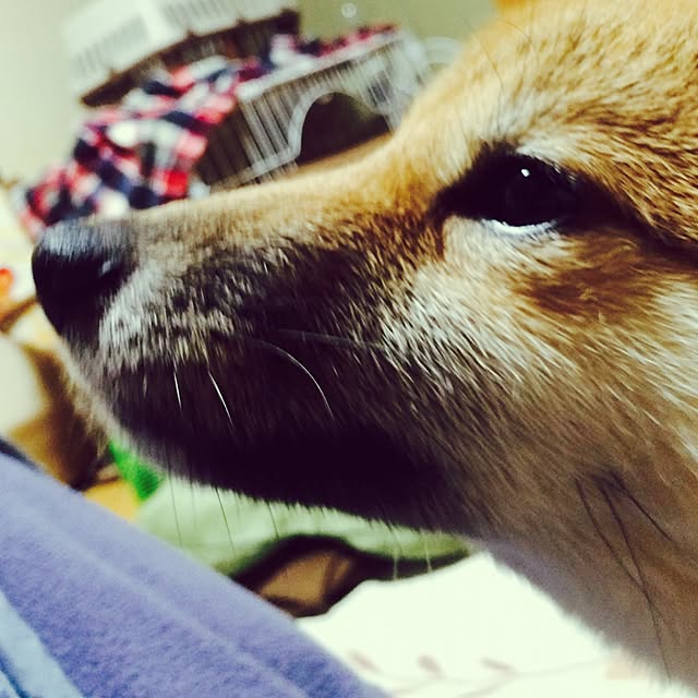 toi114さんの実例写真