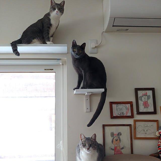 muuさんの実例写真