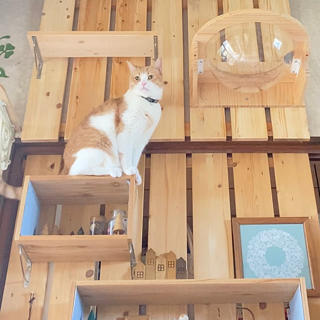 mintteaさんの実例写真