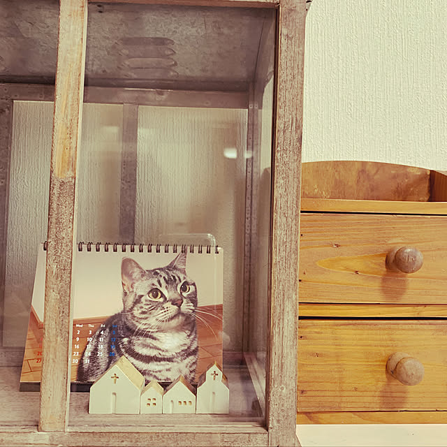 Kumiさんの実例写真
