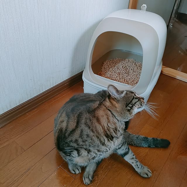 mori_6_12さんの部屋