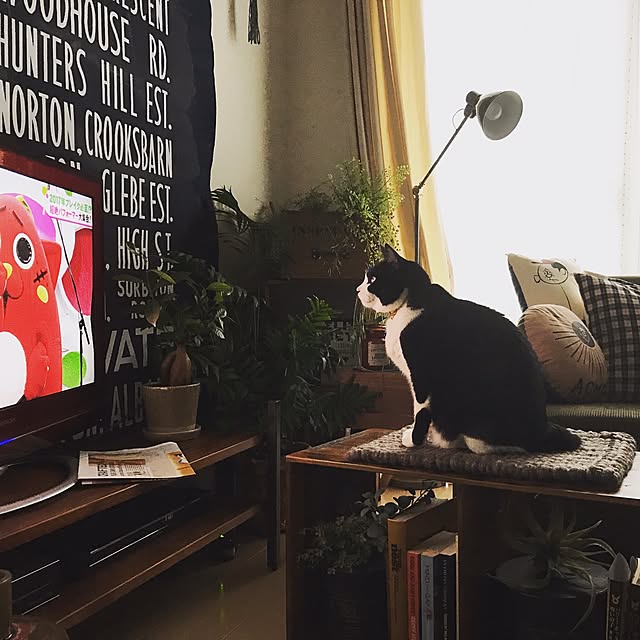 mikasakuさんの実例写真