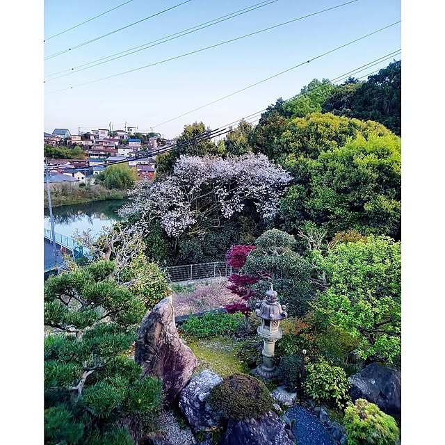 waniwaniさんの実例写真