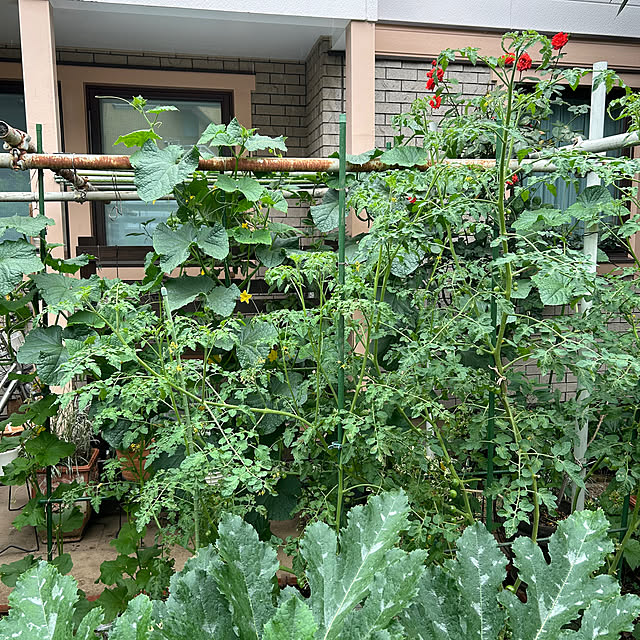 botanさんの実例写真