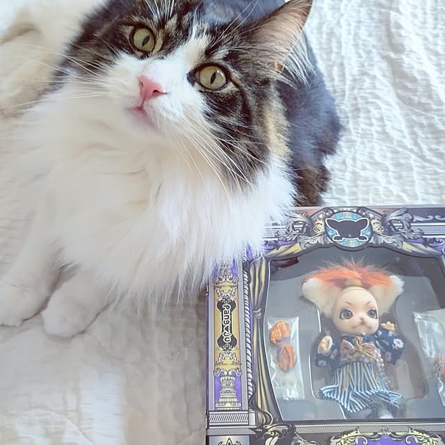 +CHIHARU+さんの実例写真