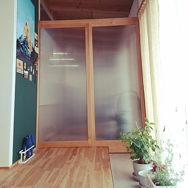Mihoさんの実例写真