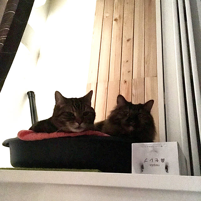 mikomaruさんの実例写真