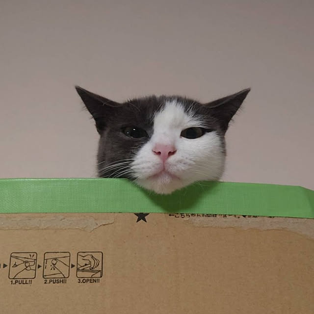 kiyohima229さんの実例写真