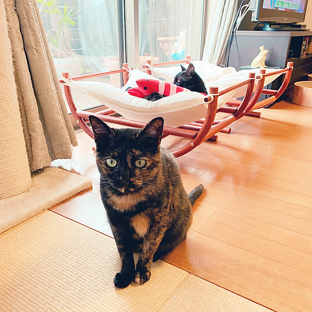 mameazさんの実例写真