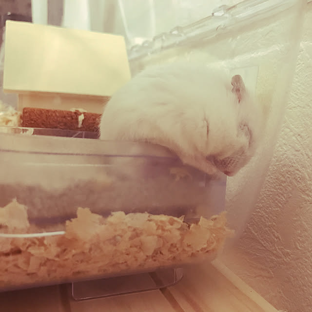 kukkaさんの実例写真