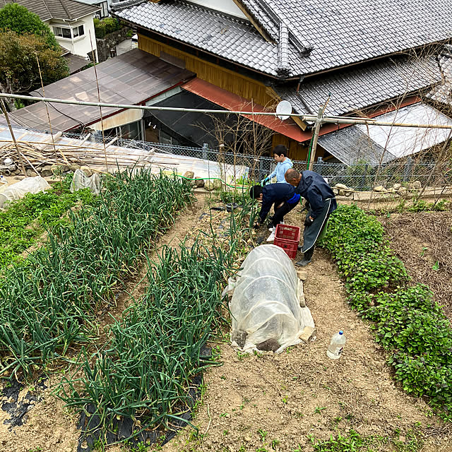 koshiregutyoさんの部屋