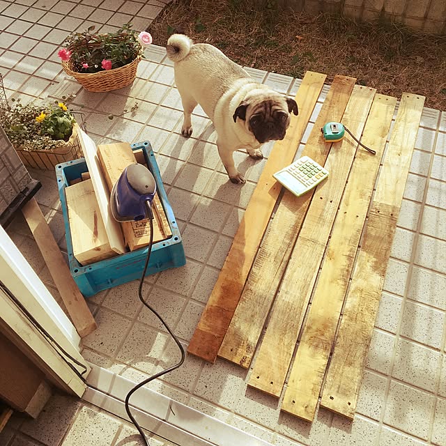 suzukoさんの実例写真