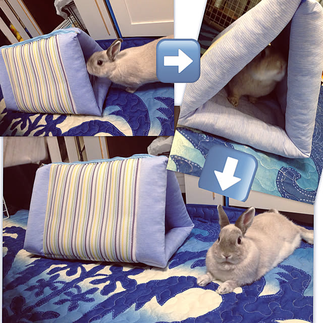yokomokoさんの実例写真