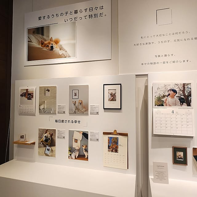 tomatoさんの部屋