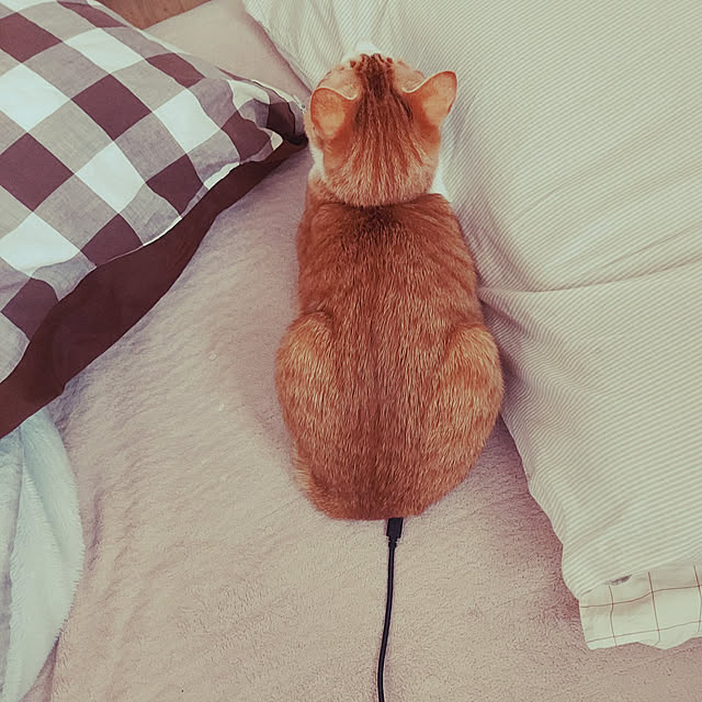 Toiroさんの実例写真