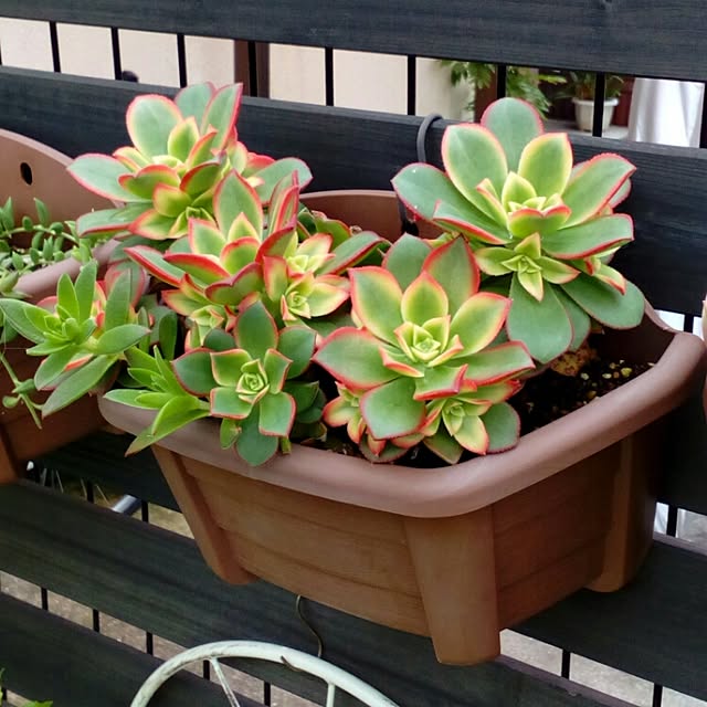 VERANDARJUNさんの実例写真