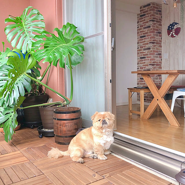 NUIさんの実例写真