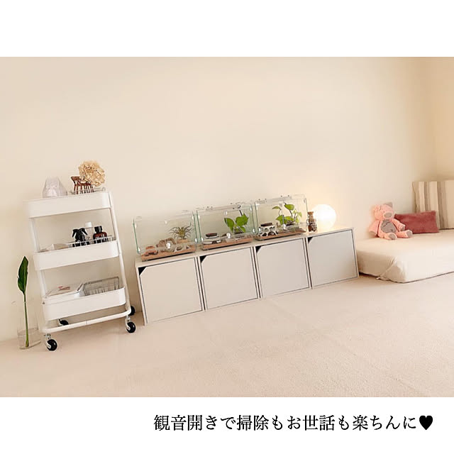 chaluさんの実例写真