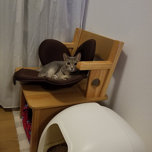 yukiさんの実例写真