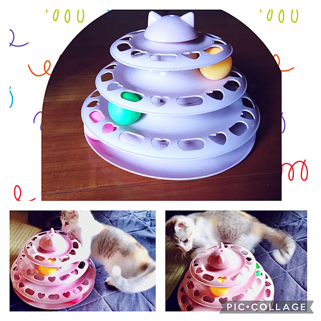 CoCo0617さんの部屋