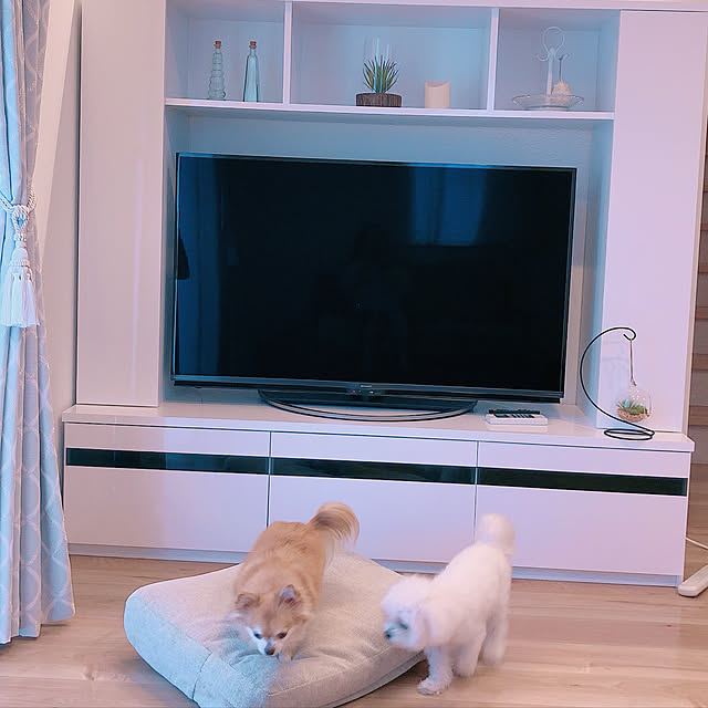 maiさんの実例写真