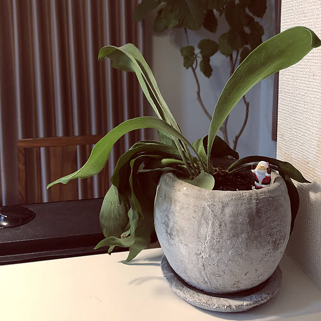 Kanaさんの実例写真