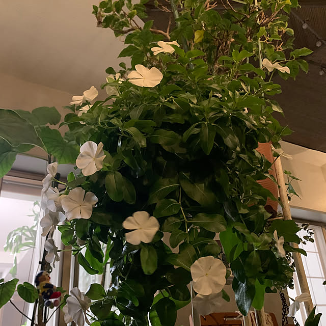 Aqettyさんの部屋