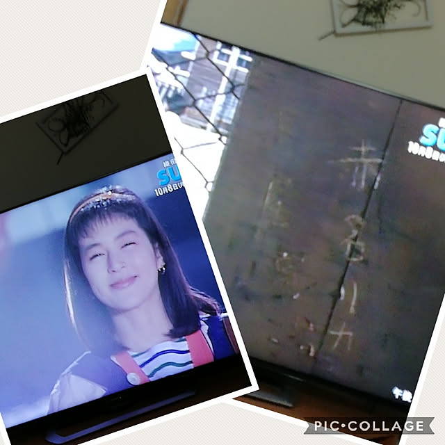 satochiさんの実例写真